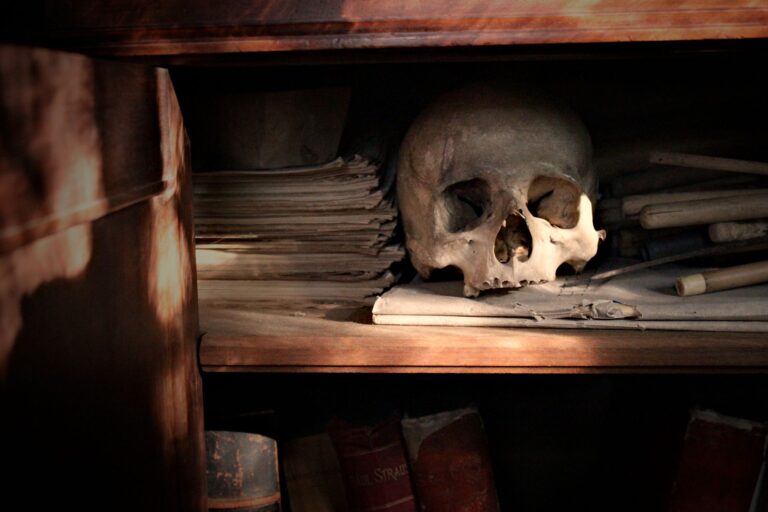 Caveira sobre manuscritos e documentos antigos em prateleira, remetendo ao imaginário cinematográfico do ocultismo
